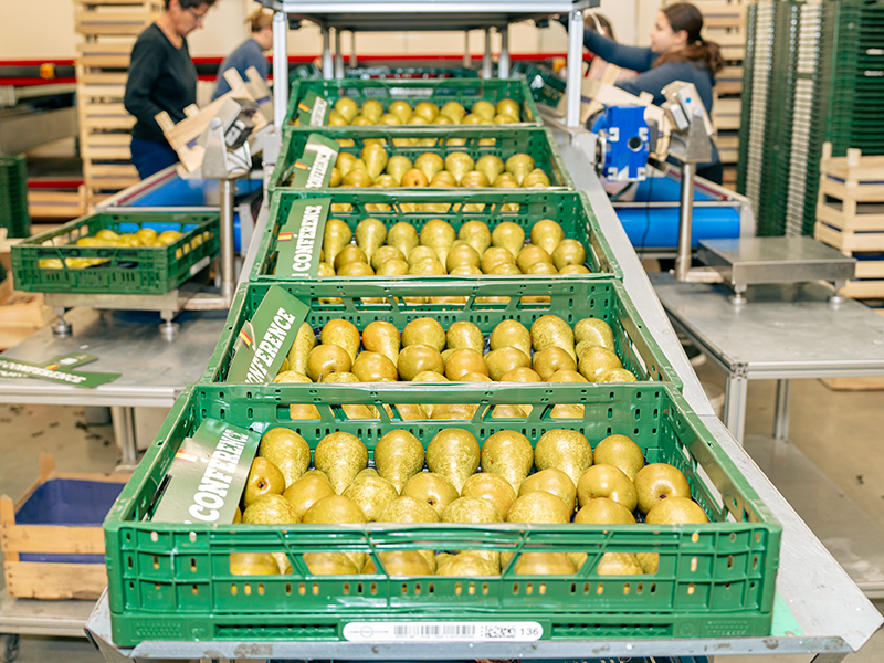 Étiquetage dans le secteur des fruits et légumes