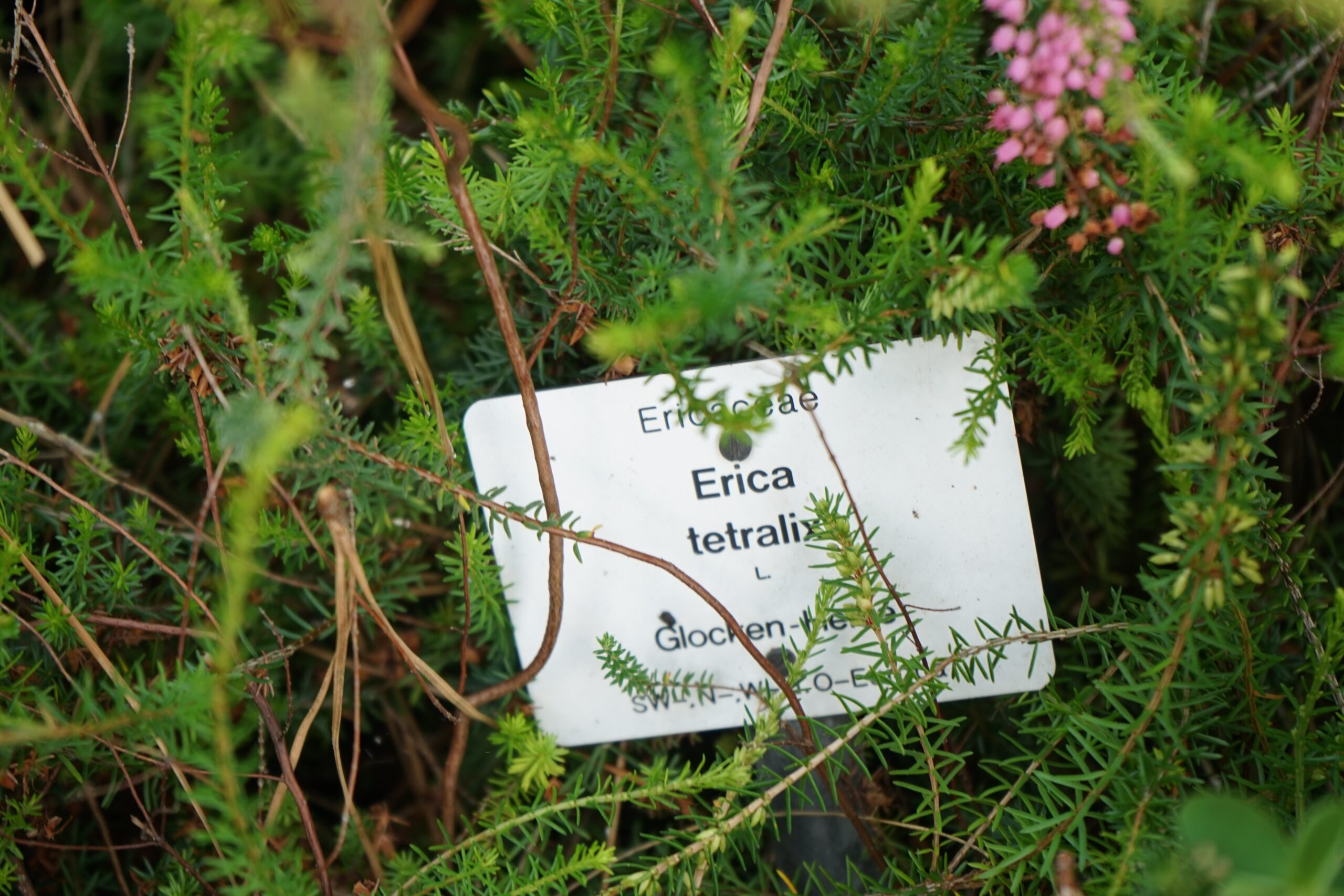 label voor tuinsector